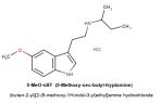 5-MeO-sBT / 5-methoxy-sec-butyl-tryptamine HCl 1.0g | #160c
