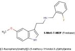 5-MeO-T-NB2F (freebase) 500mg | #187c