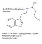 N-(2-amyl)tryptamine / 2-AT 1.0g | #262b