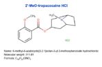 2′-Methoxytropacocaine HCl 2.5g | #274b