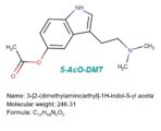 5-AcO-DMT / O-Acetylbufotenine 500mg | #285b